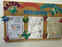 IMG_6967.jpg